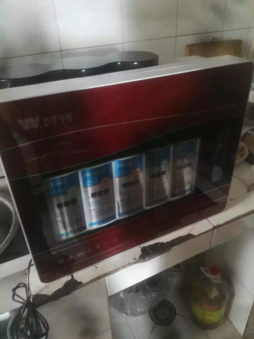 成華凈水服務全景 品牌利器與多維保障